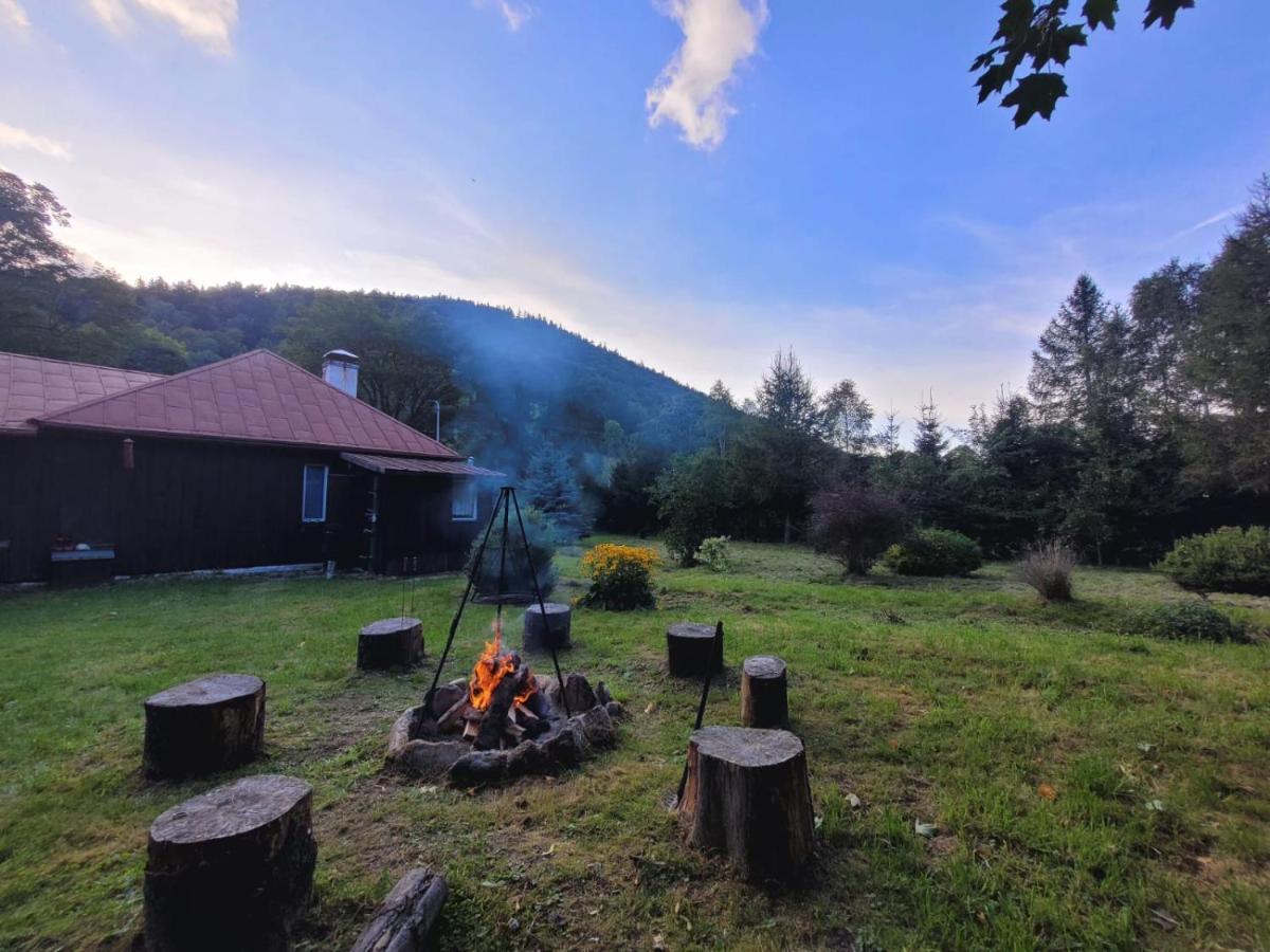 Villa Patysiowka à Stronie Śląskie Extérieur photo