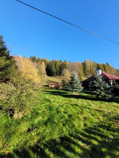 Villa Patysiowka à Stronie Śląskie Extérieur photo