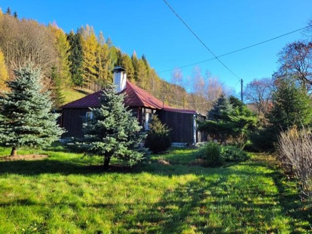 Villa Patysiowka à Stronie Śląskie Extérieur photo
